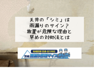 天井のシミは雨漏りのサイン?放置が危険な理由と早めの対処法とは