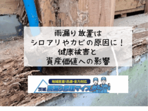 雨漏り放置はシロアリやカビの原因に!健康被害と資産価値への影響